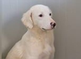 Monica- eine sanfte Seele im Schatten