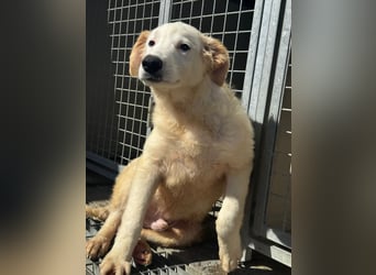 Tom: verliebt in alle Menschen