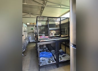 Sebastian: kleiner Schelm freut sich aufs Leben