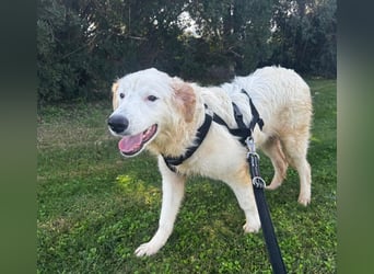 Tom: verliebt in alle Menschen