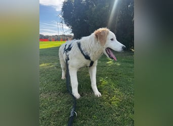 Tom: verliebt in alle Menschen