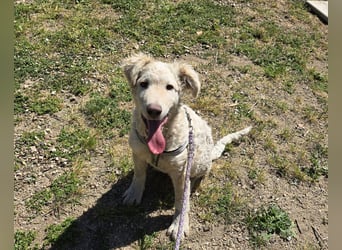 Sebastian: kleiner Schelm freut sich aufs Leben