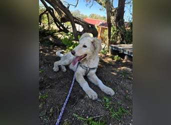 Sebastian: kleiner Schelm freut sich aufs Leben