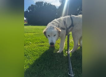 Tom: verliebt in alle Menschen