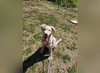 Sebastian: kleiner Schelm freut sich aufs Leben