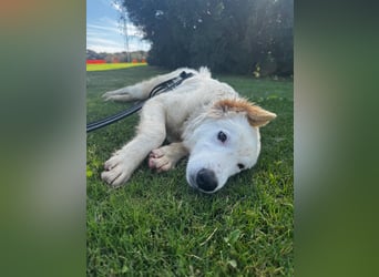 Tom: verliebt in alle Menschen