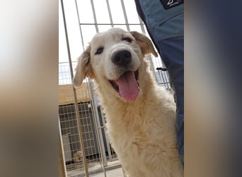 Balma: so klein und so allein