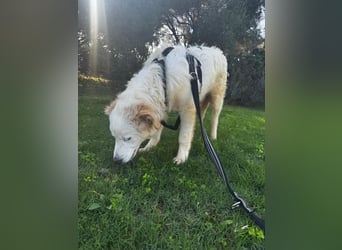 Tom: verliebt in alle Menschen