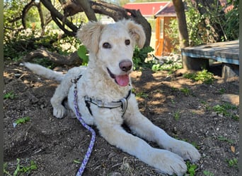 Sebastian: kleiner Schelm freut sich aufs Leben