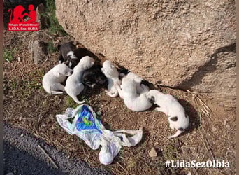 Cassian: beeindruckt mit seiner Ruhe