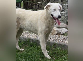 Kate: sucht Familienanschluss