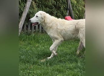 Kate: sucht Familienanschluss