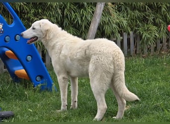 Kate: sucht Familienanschluss