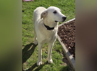 Kate: sucht Familienanschluss