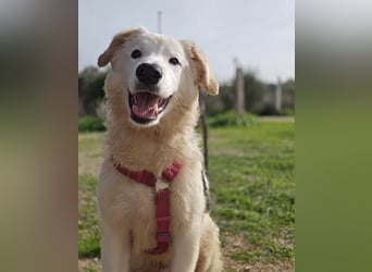 Tom: verliebt in alle Menschen