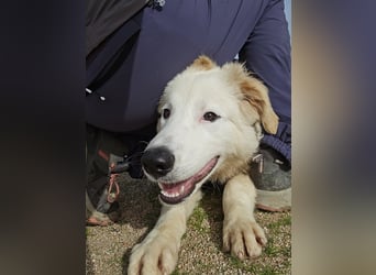 Tom: verliebt in alle Menschen