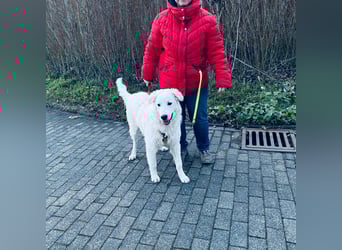 Cappuccino: sein Traum: eine eigene Familie