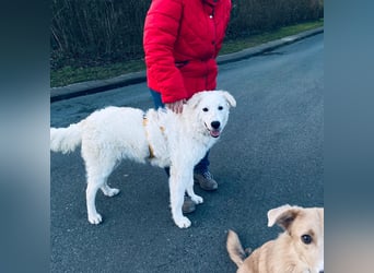 Cappuccino: sein Traum von einer eigenen Familie