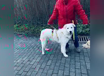 Cappuccino: sein Traum: eine eigene Familie