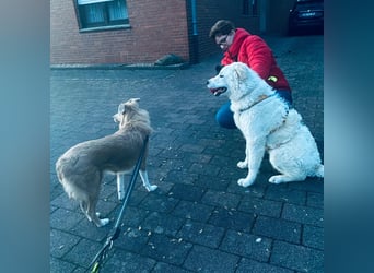 Cappuccino: sein Traum: eine eigene Familie