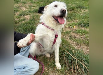 Bianca - liebevoll, zugewandt und bereit für ihr neues Leben