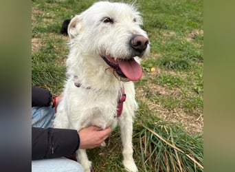 Bianca - liebevoll, zugewandt und bereit für ihr neues Leben