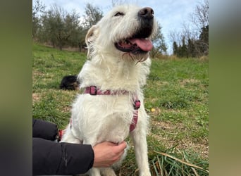 Bianca - liebevoll, zugewandt und bereit für ihr neues Leben