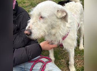 Bianca - liebevoll, zugewandt und bereit für ihr neues Leben