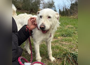 Bianca - liebevoll, zugewandt und bereit für ihr neues Leben