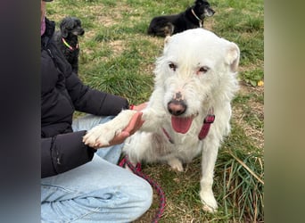 Bianca - liebevoll, zugewandt und bereit für ihr neues Leben