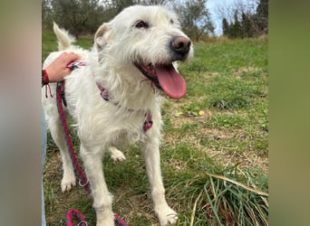 Bianca - liebevoll, zugewandt und bereit für ihr neues Leben