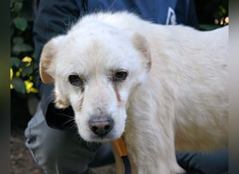 Talete - NOTFALL - Wenn man ehrlich ist