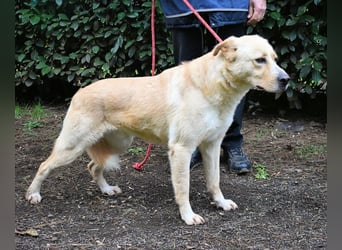 Admeto - Nur ein Wunsch: endlich nach Hause!