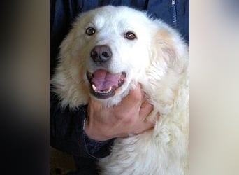 Wania - Zur falschen Zeit am falschen Ort...