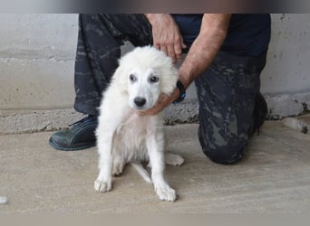 Garth - Kannst du machen, dass es nicht so lange dauert?