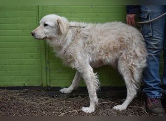 Graciela - NOTFALL - Was hatte sie schon...