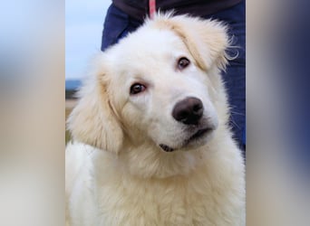 Garth - Kannst du machen, dass es nicht so lange dauert?