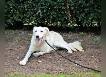 Hadeus - Wovon träumst du?