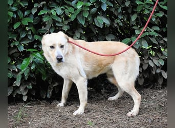 Admeto - Nur ein Wunsch: endlich nach Hause!