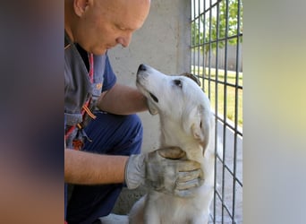 Barry - Vertrauen will gelernt sein.....