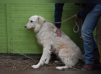 Graciela - NOTFALL - Was hatte sie schon...