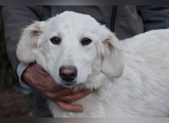 Solitelle - So jung und so chancenlos ...