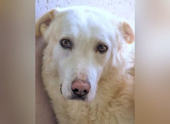 Vitale - "Komm, trau dich! Du kannst das!"