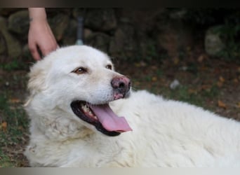 Fyona - Hell wie das Licht