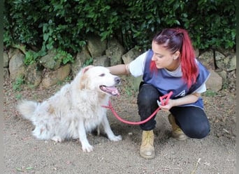 Papak - Nutze den Tag!