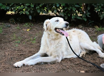 Hadeus - Wovon träumst du?