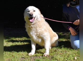 Fyona - Hell wie das Licht