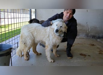 Imeria - Vielleicht bin ich dein leises Ja?