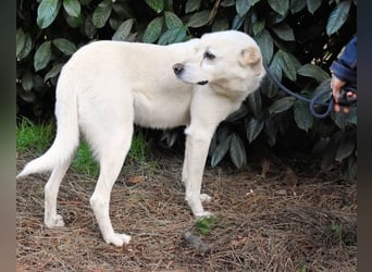 Talete - NOTFALL - Wenn man ehrlich ist