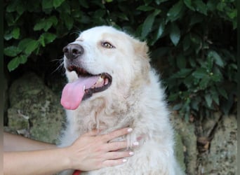 Papak - Nutze den Tag!